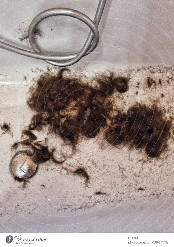 Locks-Down hieß es mal wieder Haare Haare schneiden Haarpflege Haare & Frisuren Friseur Pflege Locken Badewanne Duschschlauch Duschschlauch-Schleife Abfluss