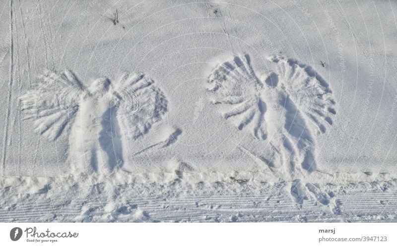 Schnee-Engel Schnee-Engerl Flügel Winter weiß Abdrücke Märchenstunde Kindheitserinnerung Erinnerung verspielt Symmetrie Schneedecke ausflug Bewegung Gefühle