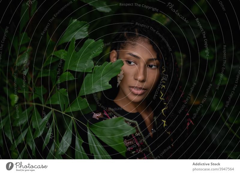 Intimes Porträt einer attraktiven Afro-Latina-Frau 20s jung Kolumbien lateinamerikanisch Afro-Look schwarz dreads Rasta itim exotisch posierend