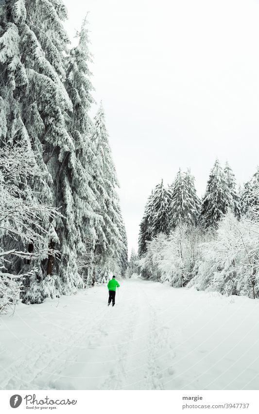 Ein Weg im tiefen Winter mit einem Skifahrer, eine Schneelandschaft mit verschneiten Bäumen ski Sport Skifahren Wintersport Eis Spuren Loipe Tag Skier Natur