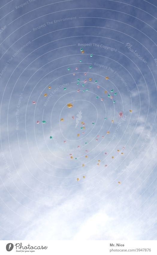 Leichtigkeit I 99 Luftballon Geburtstag Dekoration & Verzierung Schweben steigen lassen Blauer Himmel Feste & Feiern Glück Ballons fliegen frei