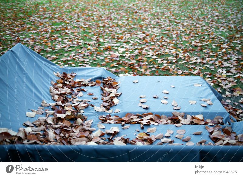 Herbst Menschenleer Farbfoto Laub Abdeckplane Garten Rasen Gartenmöbel Abgedeckt Blau Grün Herbstfarben Welk Herbststimmung Nasskalt