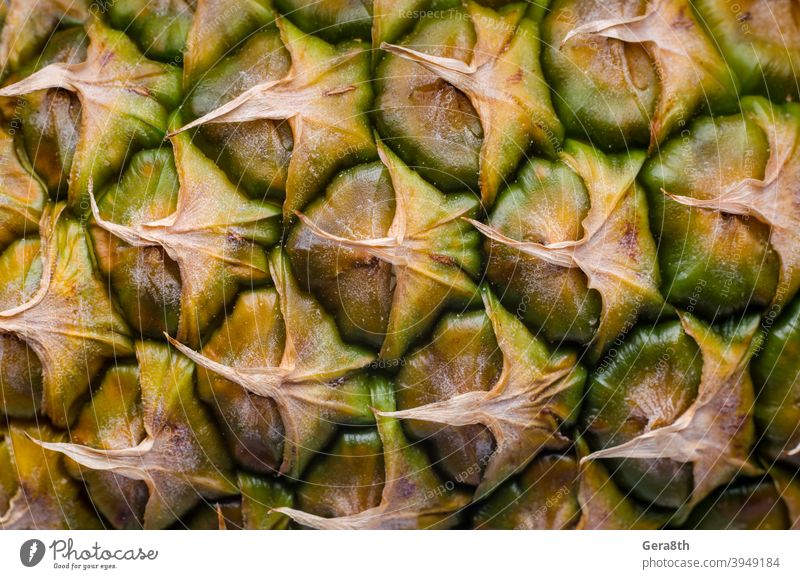 Schale einer reifen Ananas Makro-Nahaufnahme Hintergrund leere Vorlage detailliert exotisch Exotische Früchte Lebensmittel Frucht Ananas-Muster Ananasschale