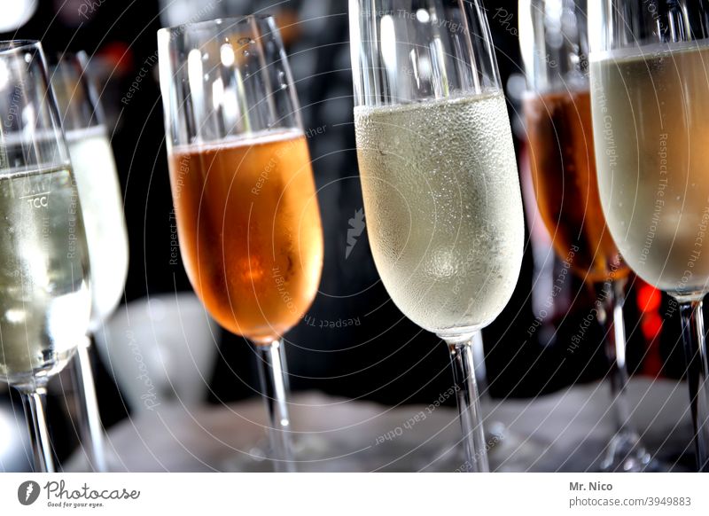 zuviel Alkohol I ungesund Sekt Glas Prosecco Getränk Champagner Sektglas Feste & Feiern Erfrischungsgetränk trinken Alkoholisiert lecker Spirituosen Bar Party