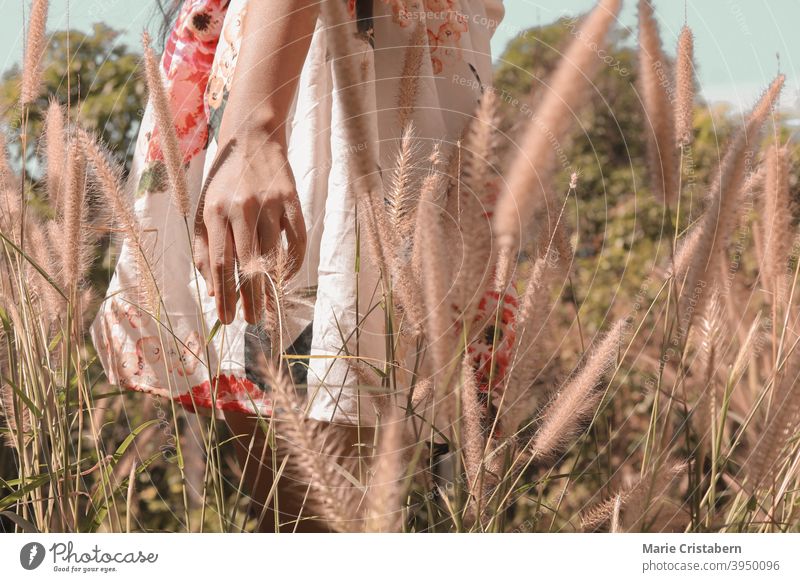 Tiefschnitt einer Frau im Sommerkleid zwischen den Gräsern Freude Mode Boho Stil Freiheit Leben Gras im Freien Wiese Zerbrechlichkeit filigran goldene Stunde