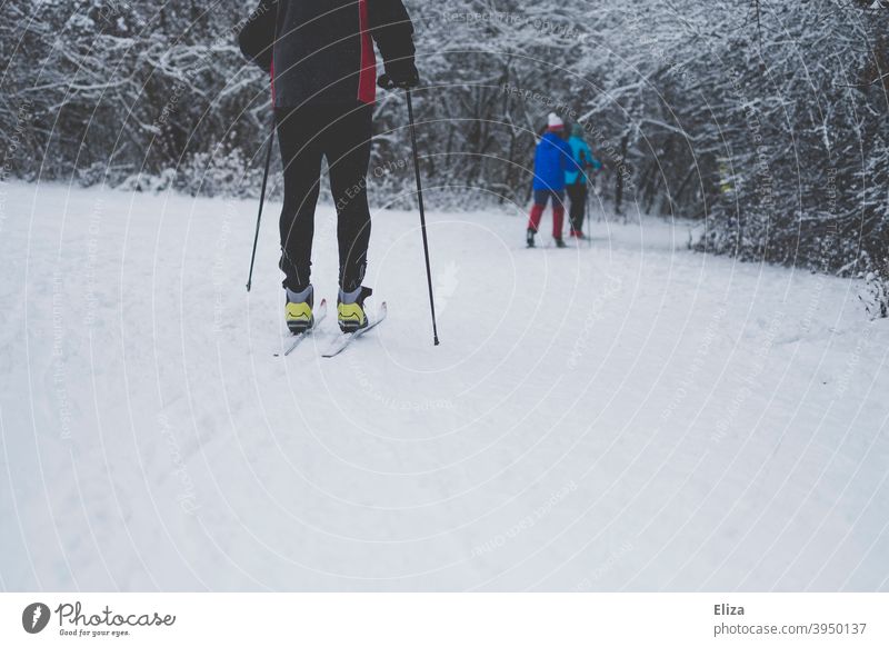 Menschen beim Langlaufen in einer winterlichen Schneelandschaft Wintersport Winterlandschaft draußen Skifahren Sport Bewegung Landschaft Natur weiß Skier