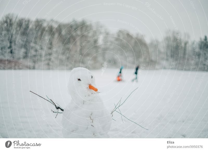 Ein Schneemann in einer Winterlandschaft weiß winterlich Karotte Landschaft Schneelandschaft Wintertag