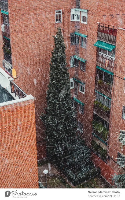 Wetter schneien, mit Gebäuden und einer Kiefer im Hintergrund. Szene bedeckt Winter Unwetter Schnee Bürgersteig verschneite Greenwich Leben Sandstein Straße
