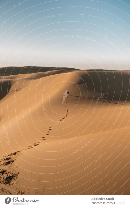 Reisender, der auf Sanddünen in der Wüste läuft wüst Fußspur Düne Natur Spaziergang Spur Landschaft Sommer Australien malerisch Freiheit erwärmen trocknen