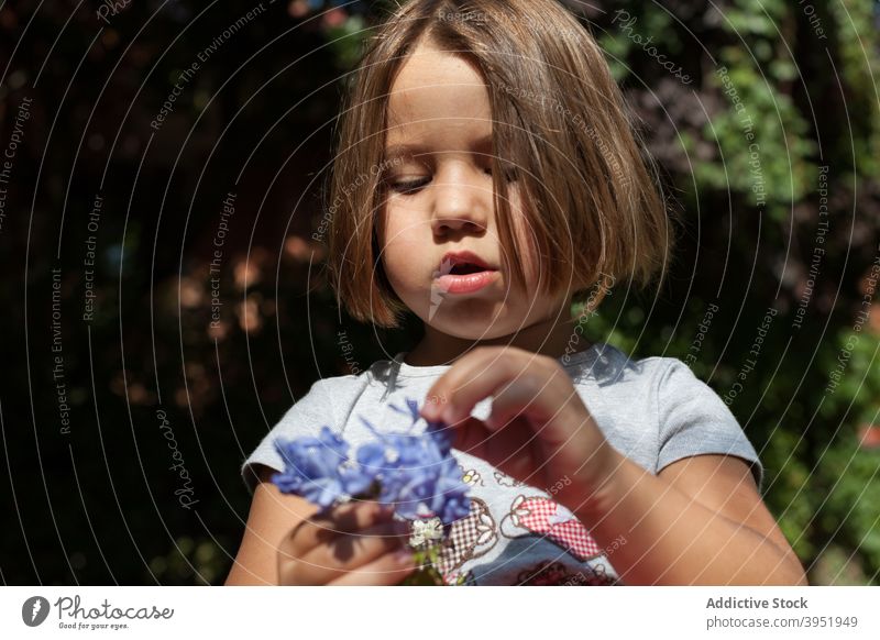 Nettes Kind mit zarten Blumen in der Hand ruht auf Rasen im Hausgarten Haufen Hof spielen Natur geblümt filigran genießen bezaubernd Mädchen blond lässig frisch