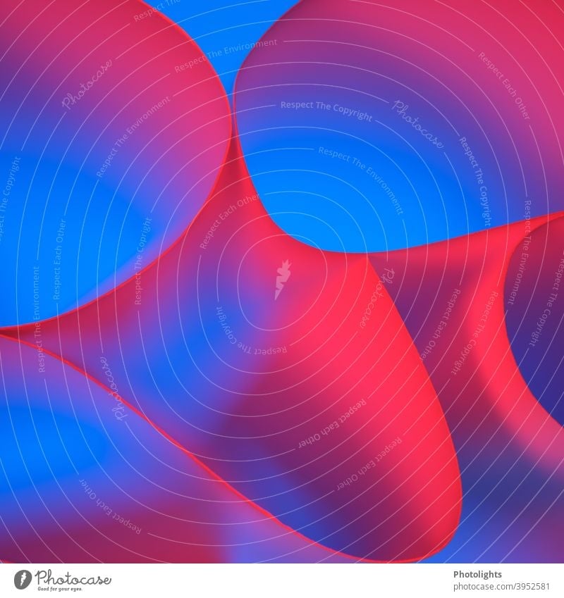 Rote Linien auf blauem Hintergrund Form geschwungen rot violett Papier Farbfoto Studioaufnahme Nahaufnahme mehrfarbig Muster Strukturen & Formen abstrakt Farbe
