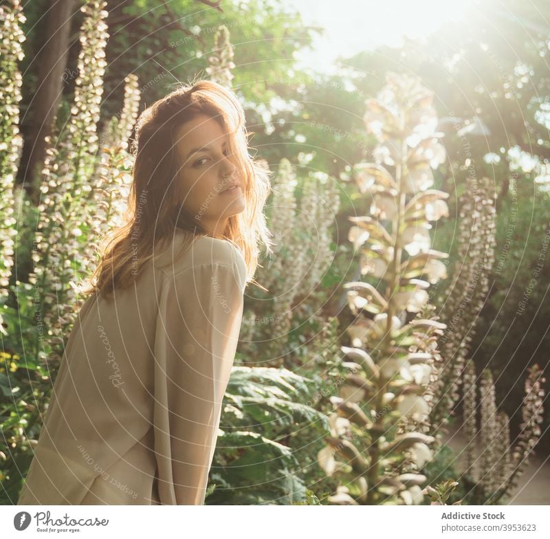 Sorglose Frau im Park im Sommer sorgenfrei Natur ruhig Angebot sonnig Garten Windstille friedlich ruhen tagsüber grün sich[Akk] entspannen jung Gelassenheit
