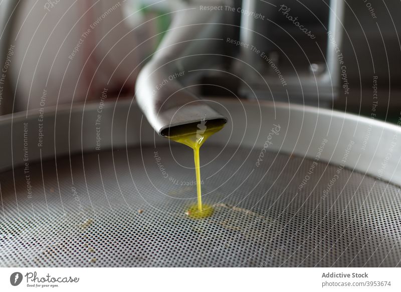 Frisch gepresstes Olivenöl fließt in den Tank auf dem Bauernhof oliv Erdöl eingießen Presse Fabrik Mühle Röhren Gerät Industrie Prozess Einrichtung Herstellung