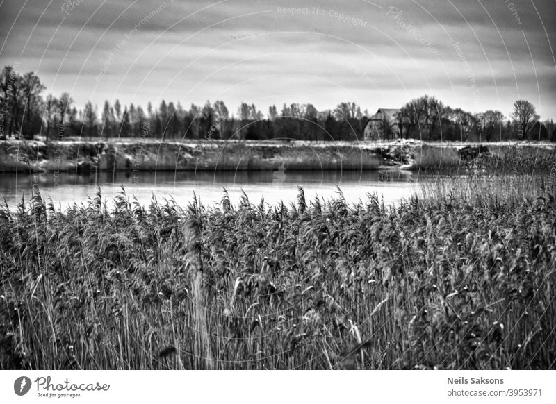 der am anderen Ufer des Flusses / über dem Schilf lebt Lettland schön schwarz auf weiß Gebäude Kanal Wolken Küste Küstenstreifen Küstenlinie Land Landschaft Tag