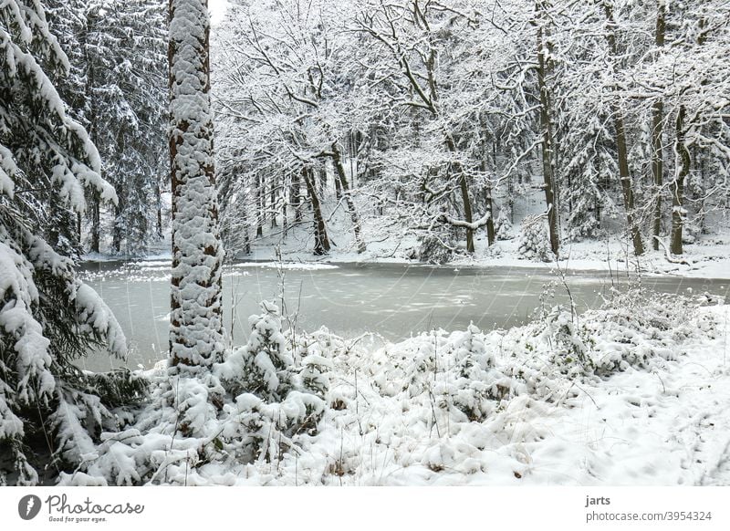 Idyllischer Waldweiher im Winter Idylle Weiher zugefroren Schnee kalt Eis Spessart Frost Natur Baum Außenaufnahme weiß Menschenleer Landschaft ruhig Einsamkeit