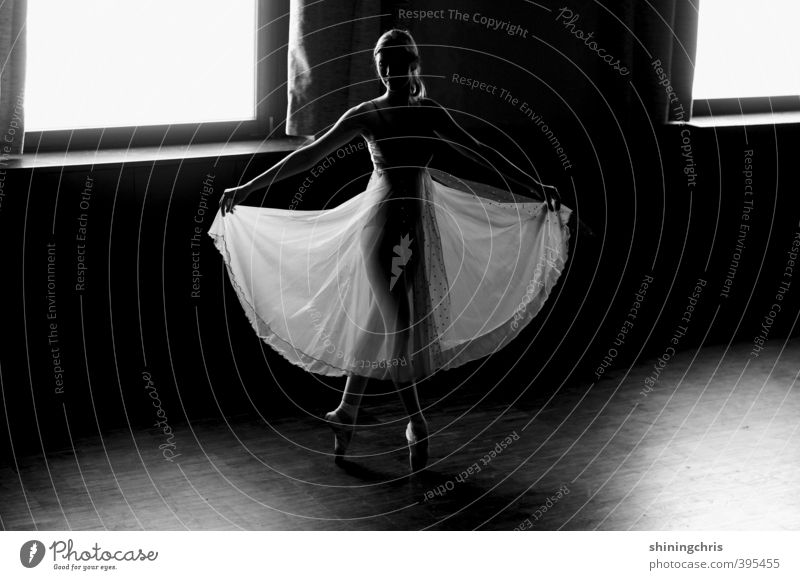 tanzt tanzt sonst sind wir verloren Tanzen Balletttänzer feminin Junge Frau Jugendliche Körper 1 Mensch 18-30 Jahre Erwachsene Tänzer Parkett Kleid