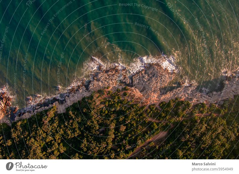 Drohnenansicht der Küste mit Klippen, Felsen und Bäumen MEER Wellen Meer Strand Natur Luftaufnahme droneperspective Dröhnen Landschaft Wasser Meereslandschaft