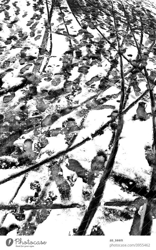 Spuren im Schnee Fußabdrücke Schlittenspur Reifenspur Winter kalt weiß Außenaufnahme Menschenleer Eis Frost Tag Schneespur Kontrast Schwarzweißfoto Schneedecke