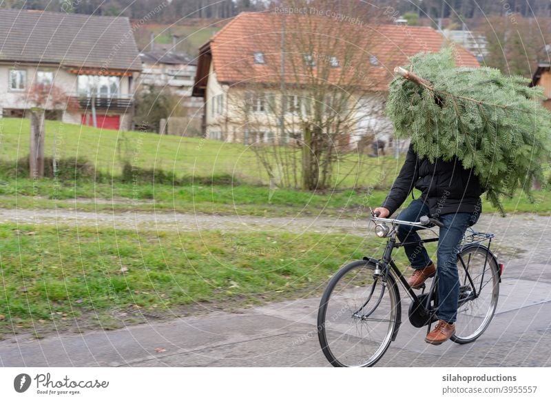 Weihnachtsbaum-Einkauf mit dem Fahrrad. Unbeschwert alles mit dem Fahrrad erledigen. Baum Weihnachten Feiertag Winter Verkehrsmittel Frohe Weihnachten Neujahr