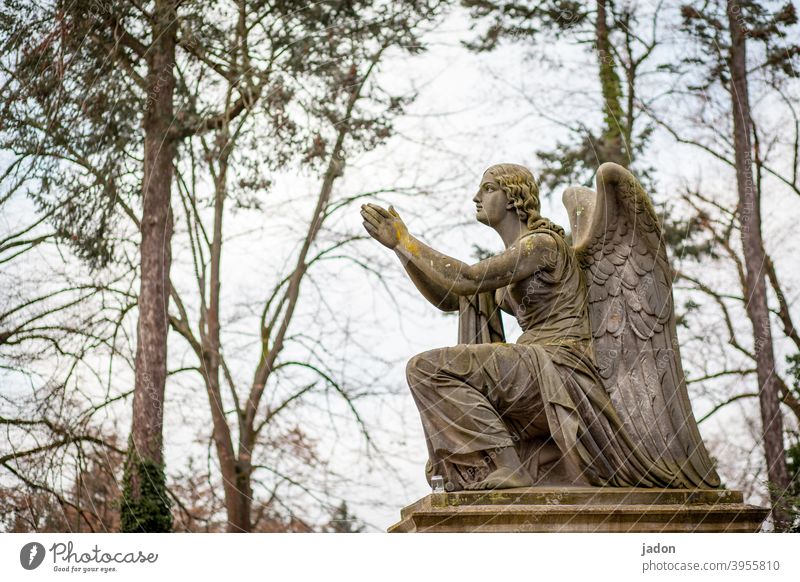 nie mehr keine engel (no angels), bitte!!! Statue Engel Figur beten betend Friedhof Kunst Außenaufnahme Religion & Glaube Trauer Kirche heilig glauben Gebet