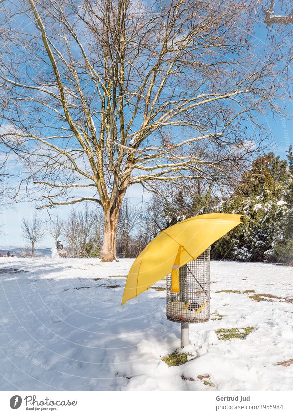 Gelber Regenschirm in einem Müllkorb in winterlicher Landschaft Schnee Winter Baum kalt Eis Frost Natur weiß Außenaufnahme Menschenleer Farbfoto Himmel Sonne