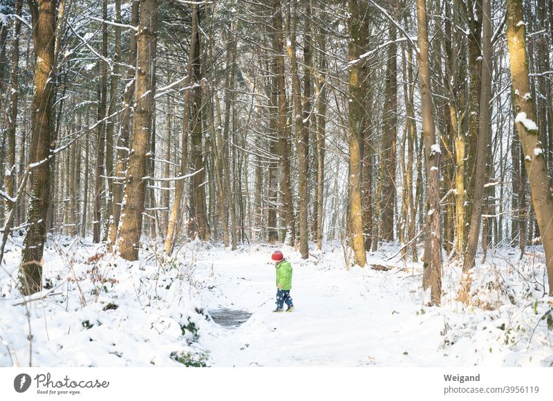 Kind im Winter im Wald Kindheit Kindergarten Schnee kalt Spaziergang eis entdecken Wanderung