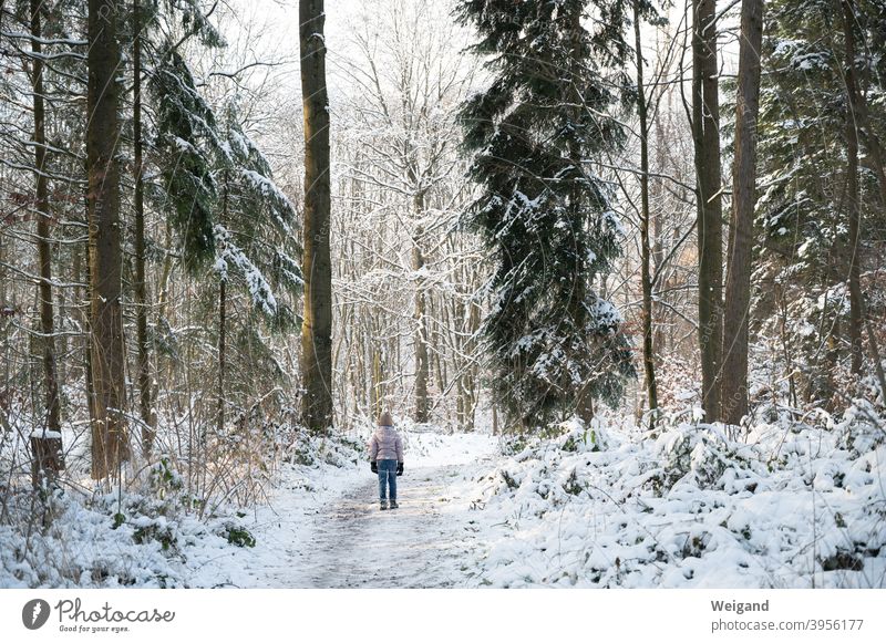 Kind im Winterwald Mädchen Wald Schnee kalt Spaziergang wandern erkunden Kindheit Frost allein Winterurlaub Winterstimmung Klima Wintertag Außenaufnahme Wetter