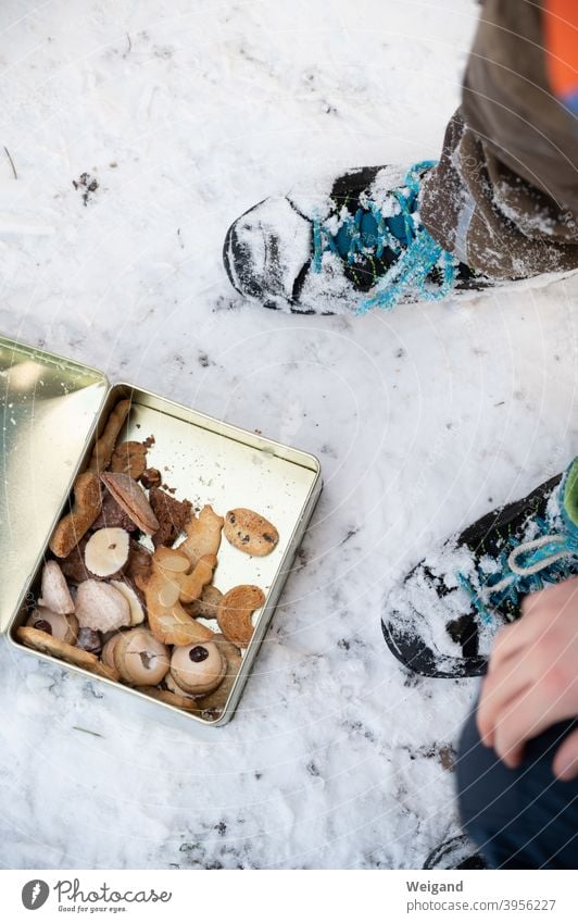 Plätzchen bei Pause auf Winterwanderung Pause machen Weihnachten & Advent lecker selbstgemacht Schnee Wanderung Wald Boden Schuhe