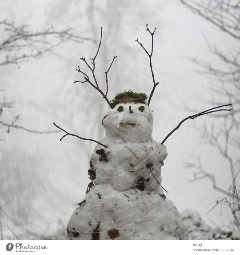 Schneemann steht im nebeligen Winterwald Nebel kalt weiß Außenaufnahme Freude Jahreszeiten Natur Frost Kindheit Zweig Wald Januar Winterwetter Kälte schwarz