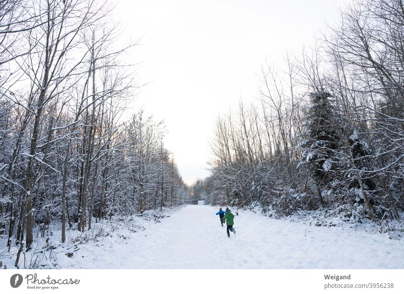 Kinder im Winterwald Schnee Wald Winterurlaub wandern kalt toben Freude Außenaufnahme Frost weiß Eis Ferien & Urlaub & Reisen rennen Wege & Pfade
