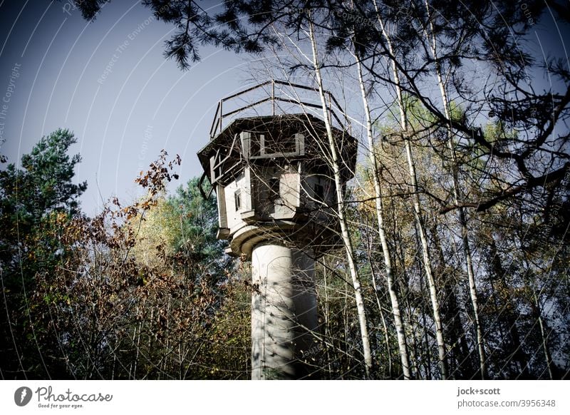 Ein Wachturm steht im Walde Ganz still und stumm Baum Natur lost places Herbst Verfall Architektur Vergangenheit Ruine historisch verfallen verdeckt versteckt