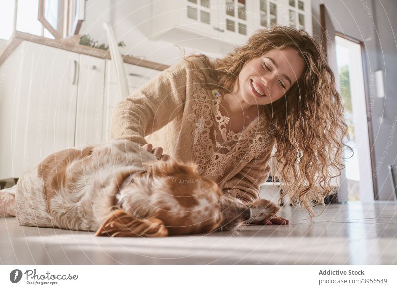 Frau streichelt Hund zu Hause Kraulen Setzer Tier Streicheln Besitzer heimwärts Zusammensein sich[Akk] entspannen Stock Haustier Glück Lächeln Begleiter Eckzahn