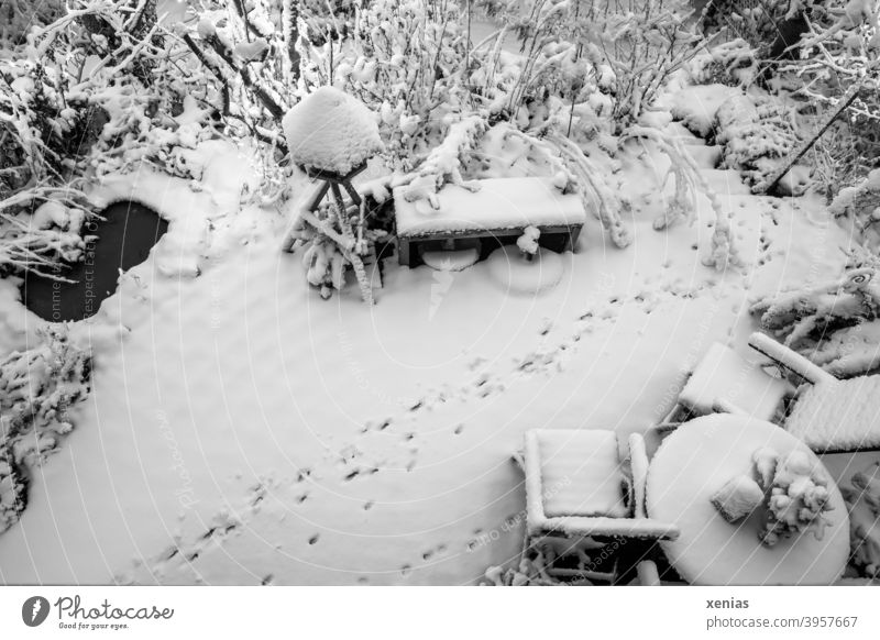 Die Katze kam zu Besuch in den Garten: Schwarz-weiß Aufnahme einer Terrasse von oben im Winter mit kleinem Teich, Vogelhaus, Sitzbank, Stühle, Tisch und Tierspuren im Schnee