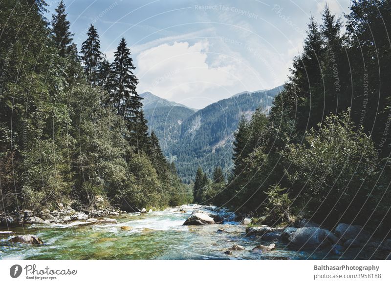 Berglandschaft - Fluss - Österreich Berge u. Gebirge Steine Wald Nadelbaum Wasser aktuell Himmel Wolken Horizont dunkelgrün Natur Umwelt malerisch Sommer