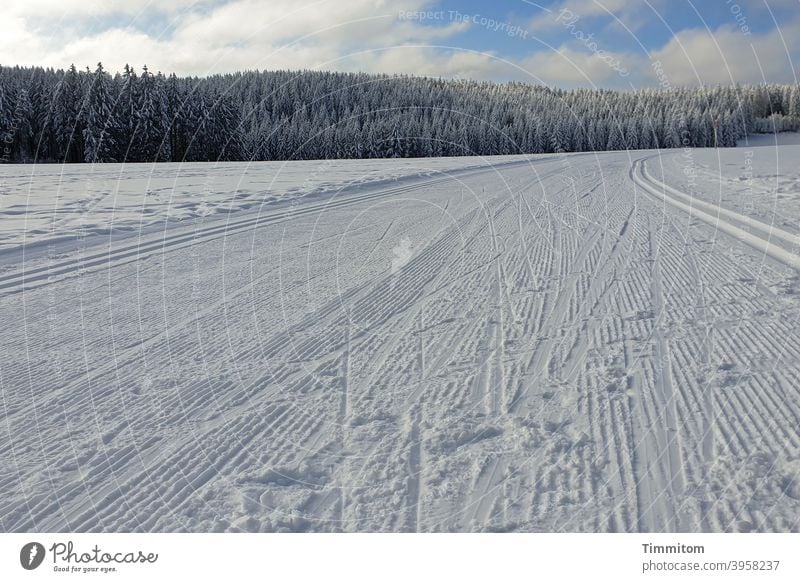 Winterfreuden - Langlaufloipe kalt Schnee Schwarzwald Loipe Himmel blau Wald Wolken Landschaft Natur weiß Menschenleer Bäume