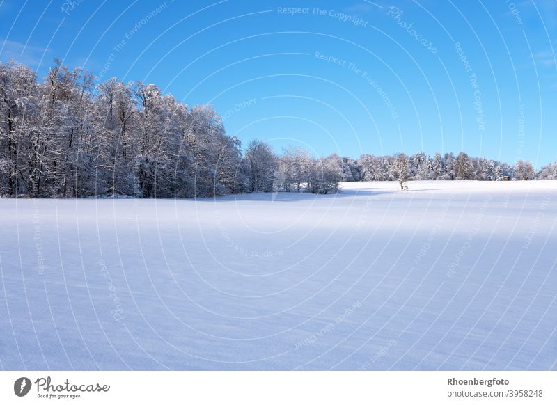 große schneebedeckte Wiese vor einem Wald in der Rhön rhön thüringen wiese weide schneien kalt wandern wanderung hintergrund blau himmel natur landschaft