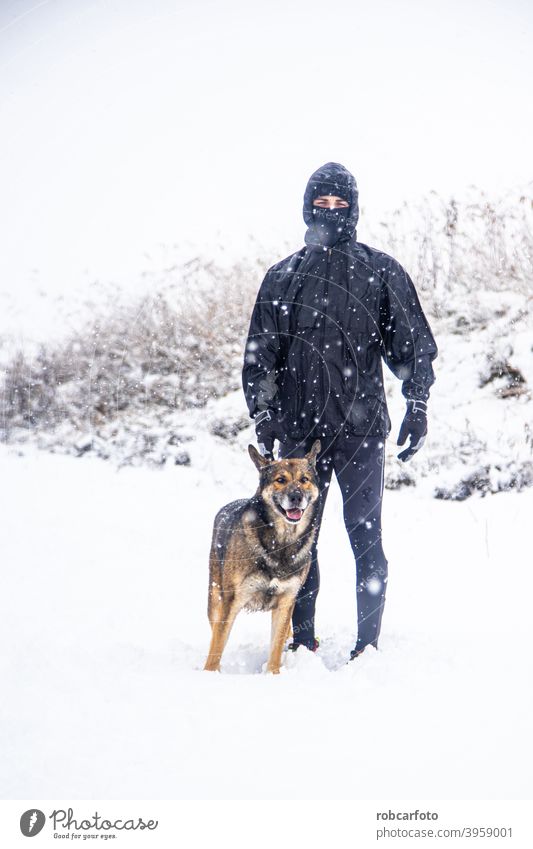 Mann läuft mit Hund in verschneiter Landschaft Schnee rennen kalt Winter Spaziergang Menschen Saison Jogger Park jung Frau Person gefroren schön reisen