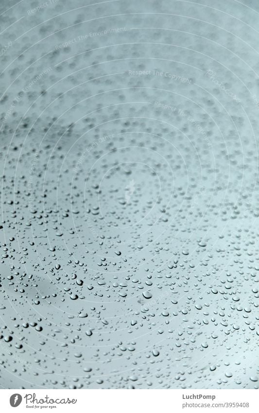 Wassertropfen auf Glasfläche Kontrastreich nass Dusche (Installation) Fensterscheibe Regen Regentropfen abperlen wasserabweisend geringe Tiefenschärfe