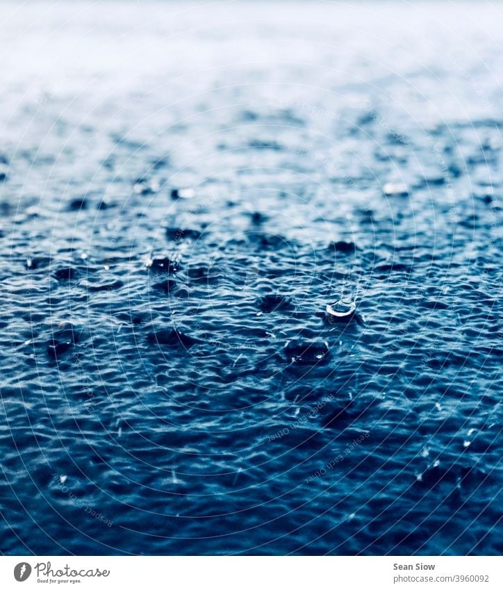 Starker Regen prasselt auf den Boden nass kalt Wasser regnerisches Wetter Umwelt Wassertropfen trist Tag deprimierend depressiv schlechtes Wetter Regentropfen