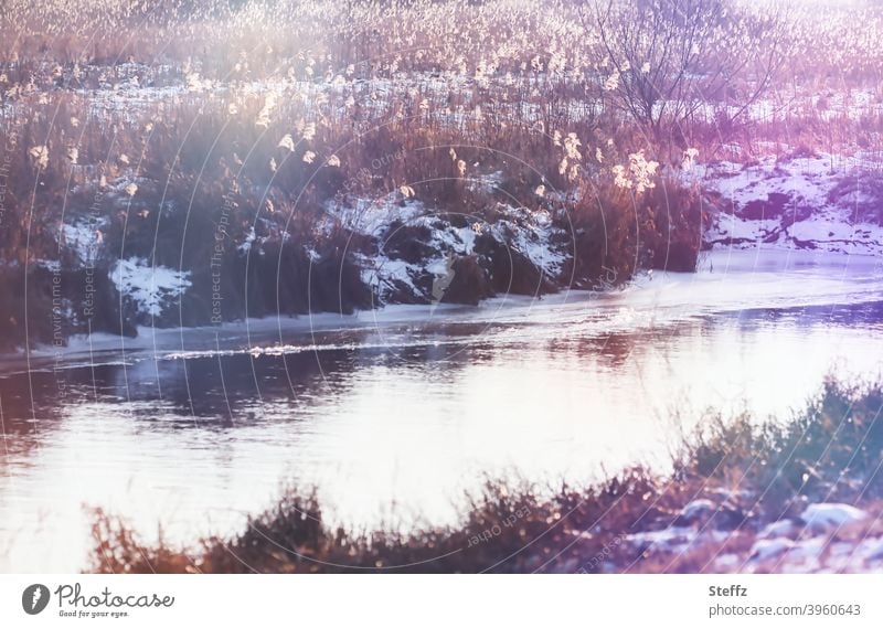 Winterspuren im Nachmittagslicht Fluss kleiner Fluss Flussufer Bach Bachufer heimisch fließen Röhricht Wintergras Kälte Schnee Winterkälte Februar Februarlicht