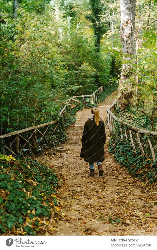 Frau geht auf Steg im Wald Brücke Herbst Spaziergang Wochenende schlendern Saison Weg hölzern Natur fallen Baum ruhen Harmonie Wälder Gelassenheit friedlich