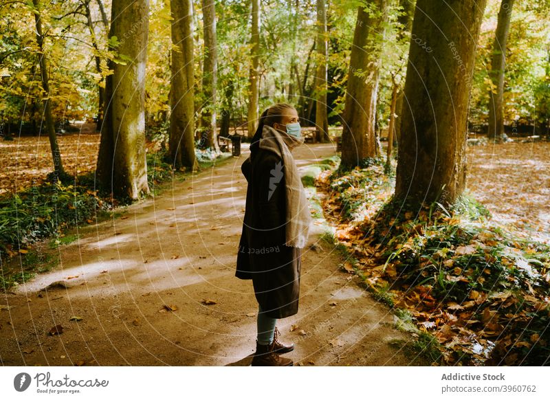 Frau stehend auf Weg im Wald Herbst Spaziergang Wochenende schlendern Saison Steg hölzern Natur fallen Baum ruhen Harmonie Wälder Gelassenheit friedlich
