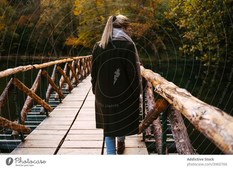 Frau auf Holzbrücke im Herbst Wald Brücke Fluss Spaziergang schlendern Steg fallen Wasser Wochenende Saison hölzern Natur Baum ruhen Harmonie Wälder