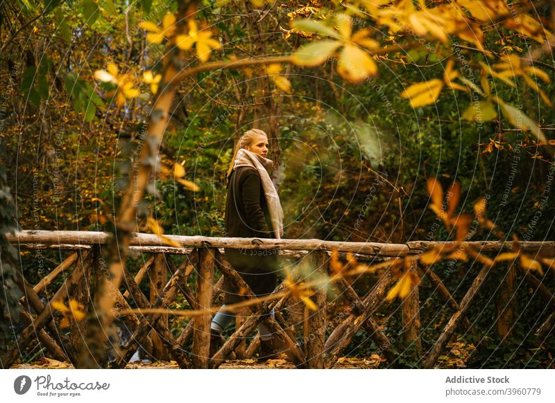 Frau zu Fuß auf Steg im Herbst Wald Spaziergang Brücke fallen Fußweg bewundern Oberbekleidung hölzern Landschaft Wälder friedlich Harmonie Umwelt stumm