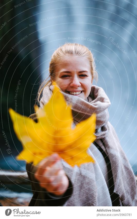 Fröhliche Frau mit Ahornblatt in der Natur Blatt Herbst fallen heiter Oberbekleidung Freude Wasserfall Lächeln warme Kleidung Saison golden Oktober stehen