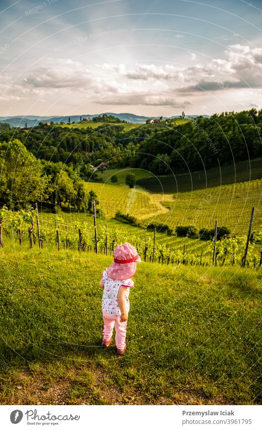 Baby schaut auf die Landschaft des Weinbergs Sommer Kind Natur offen ländlich Süden südländisch steiermark Weinberge Hügel Person Pflanze weinstraße Lifestyle