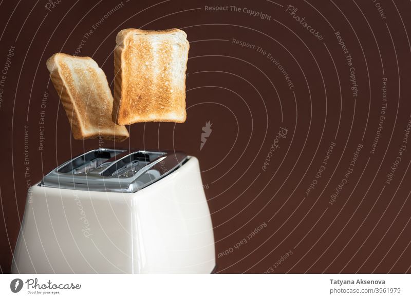 Toastscheiben springen aus dem Toaster Zuprosten Brot Frühstück Lebensmittel Scheibe Gerät elektrisch Vorrichtung geröstet Utensil Belegtes Brot braun