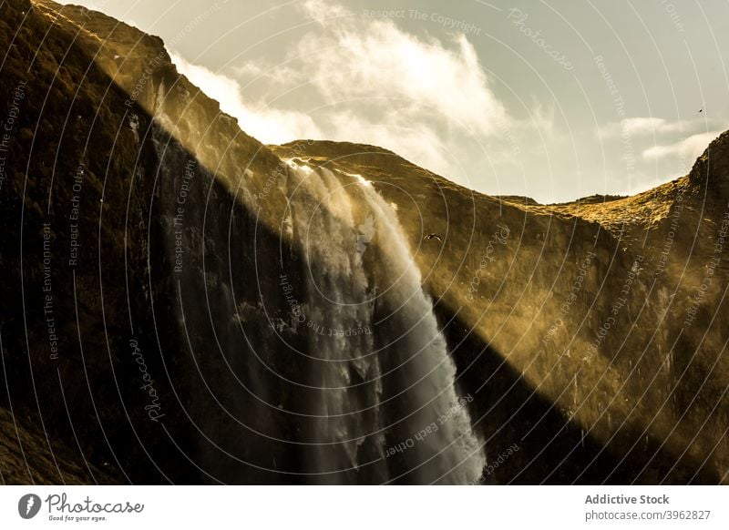Majestätischer Wasserfall in bergigem Tal Berge u. Gebirge Kraft fließen Hochland Landschaft erstaunlich strömen Island sonnig Gelände atemberaubend prunkvoll