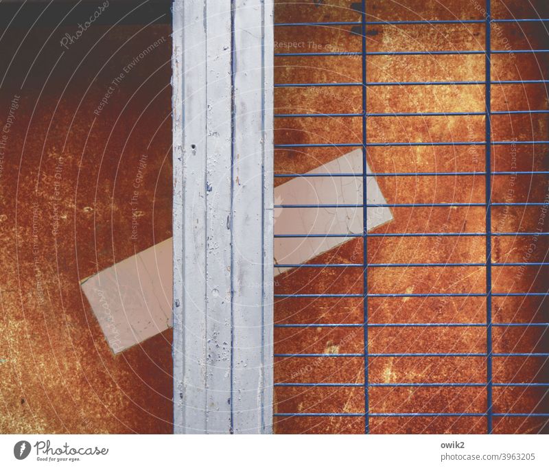 Versperrung Gitter Durchblick Nahaufnahme Holzwand rötlich verfallen trashig Farbfoto Vergänglichkeit Gittertür Strukturen & Formen Metall Außenaufnahme obskur