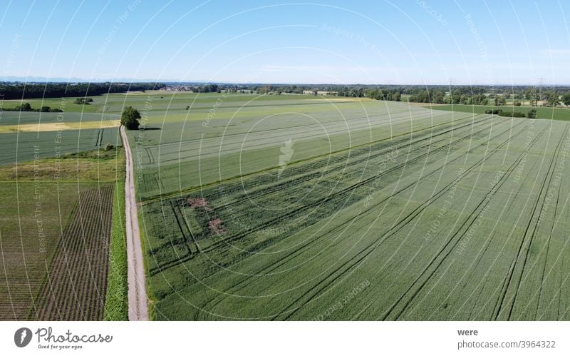 Blick aus der Luft über landwirtschaftlich genutzte Flächen auf die Alpen Bereich Flug Ansicht Luftaufnahme landwirtschaftliche Fläche